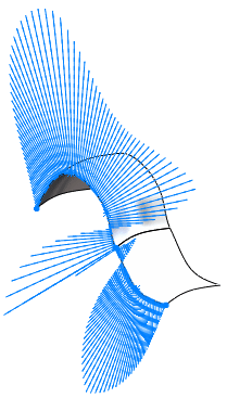 curvature-constraint-G2_02.gif