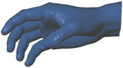 Hand_Mesh.gif